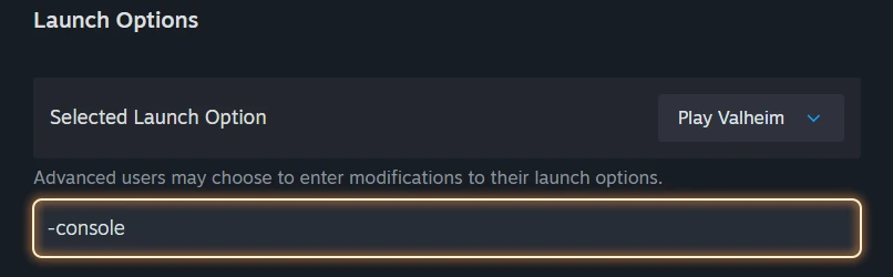 Steam launch options for Valheim with -console typed in