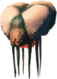 Ґьялл, зображення