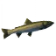 Щука, іконка