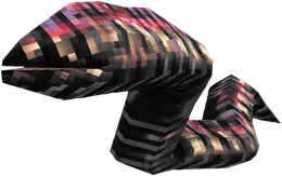 П'явка, зображення