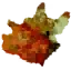 Гнила шкура, іконка
