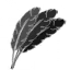 Пір’я, іконка