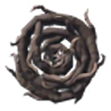Shield of Roots image