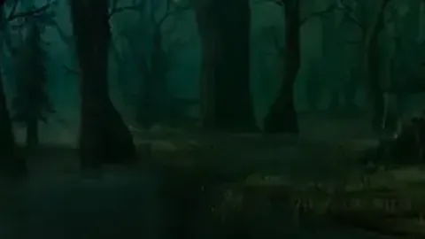 Болото ✓, зображення